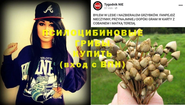 индика Новокубанск